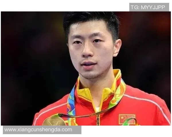 当前中国体育明星排名榜揭晓引发热议各界反响积极