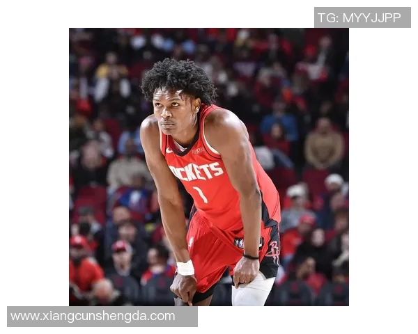 火箭队与开拓者队2015年季后赛精彩对决回顾与分析